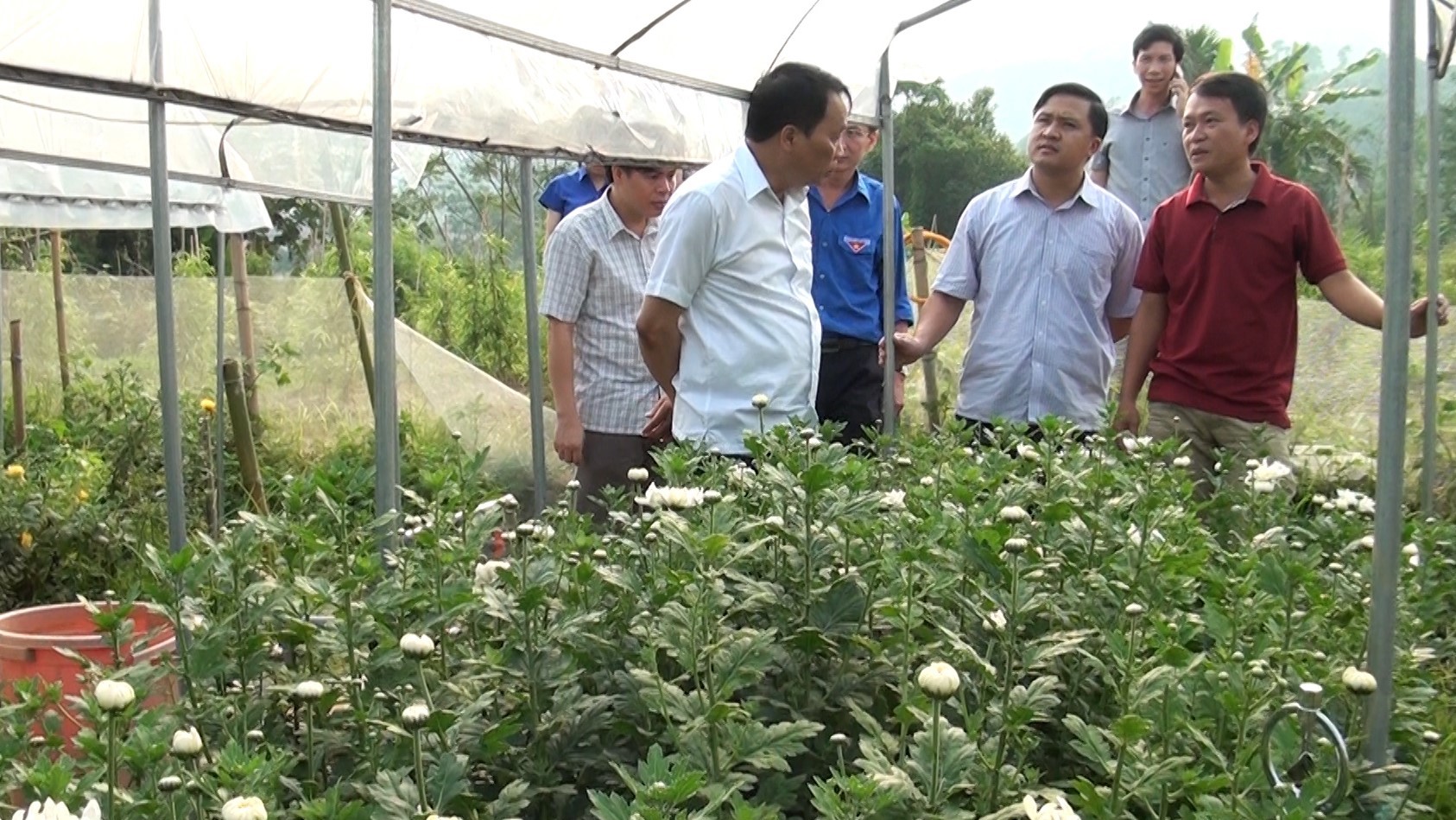 Bí thư Huyện ủy Trần Văn Hòa thăm mô hình phát triển kinh tế điển hình của thanh niên khởi nghiệp tại xã Việt Vinh